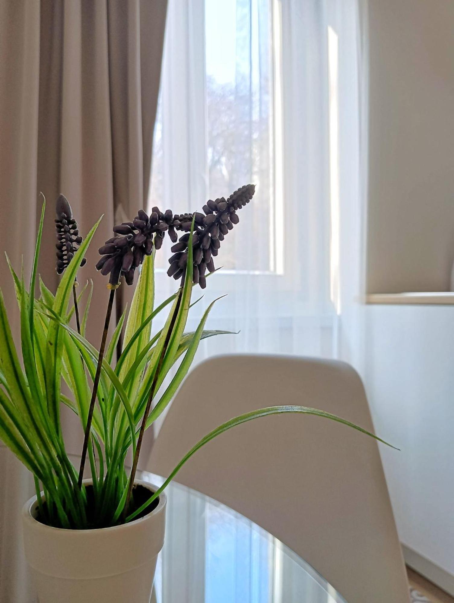 Tesa2 Casa Vacanze Триест Экстерьер фото